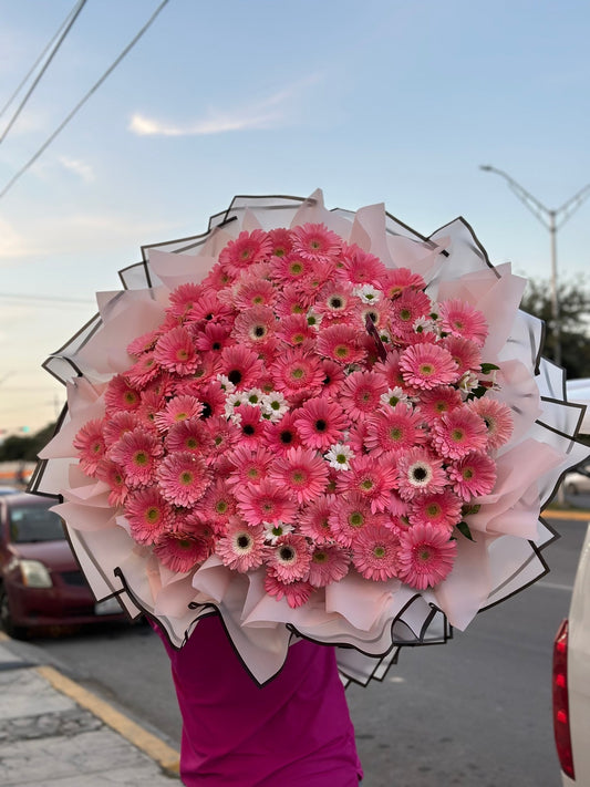 Buchon de 100 Gerberas
