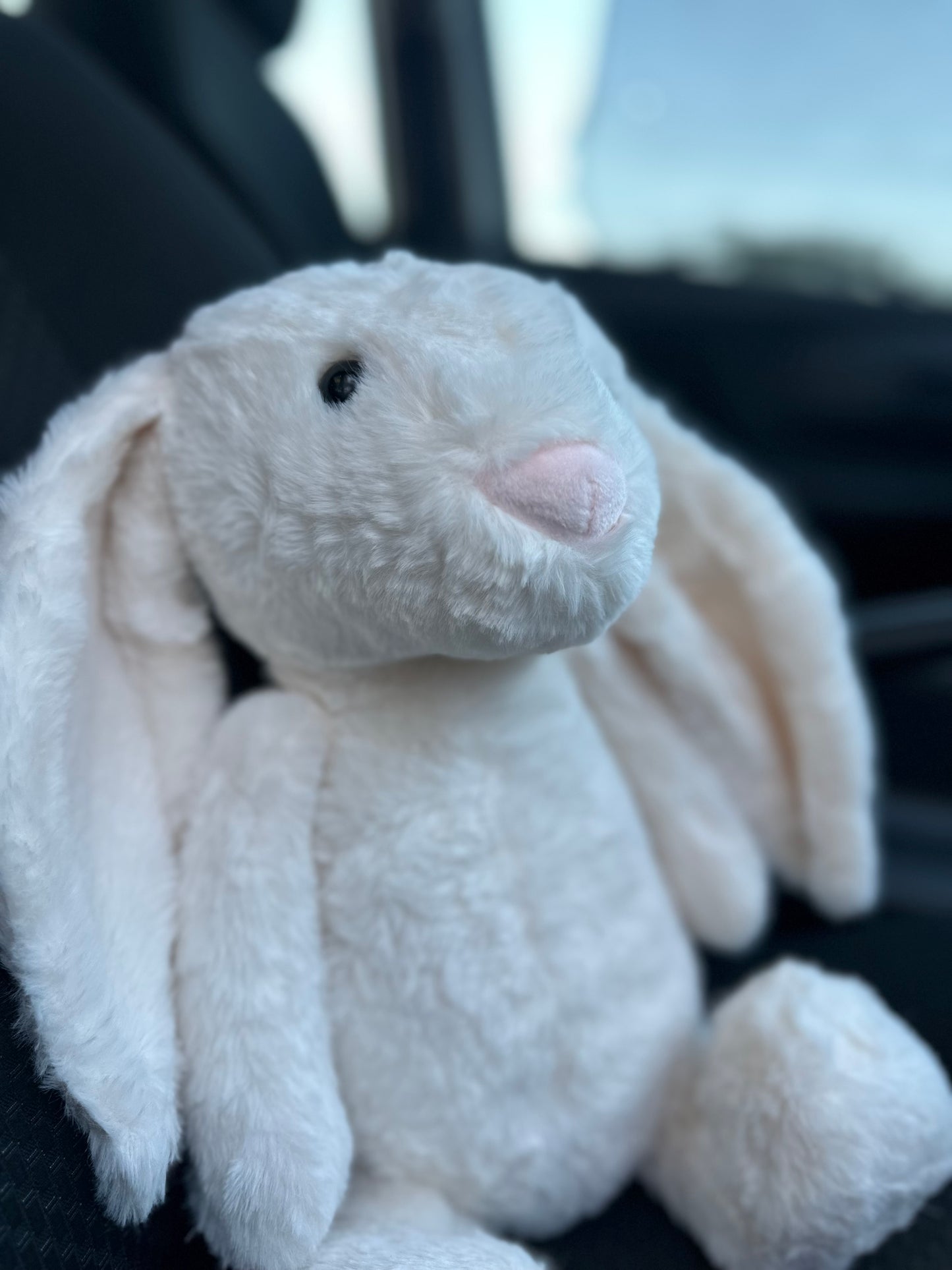 Conejito de Peluche 🐰