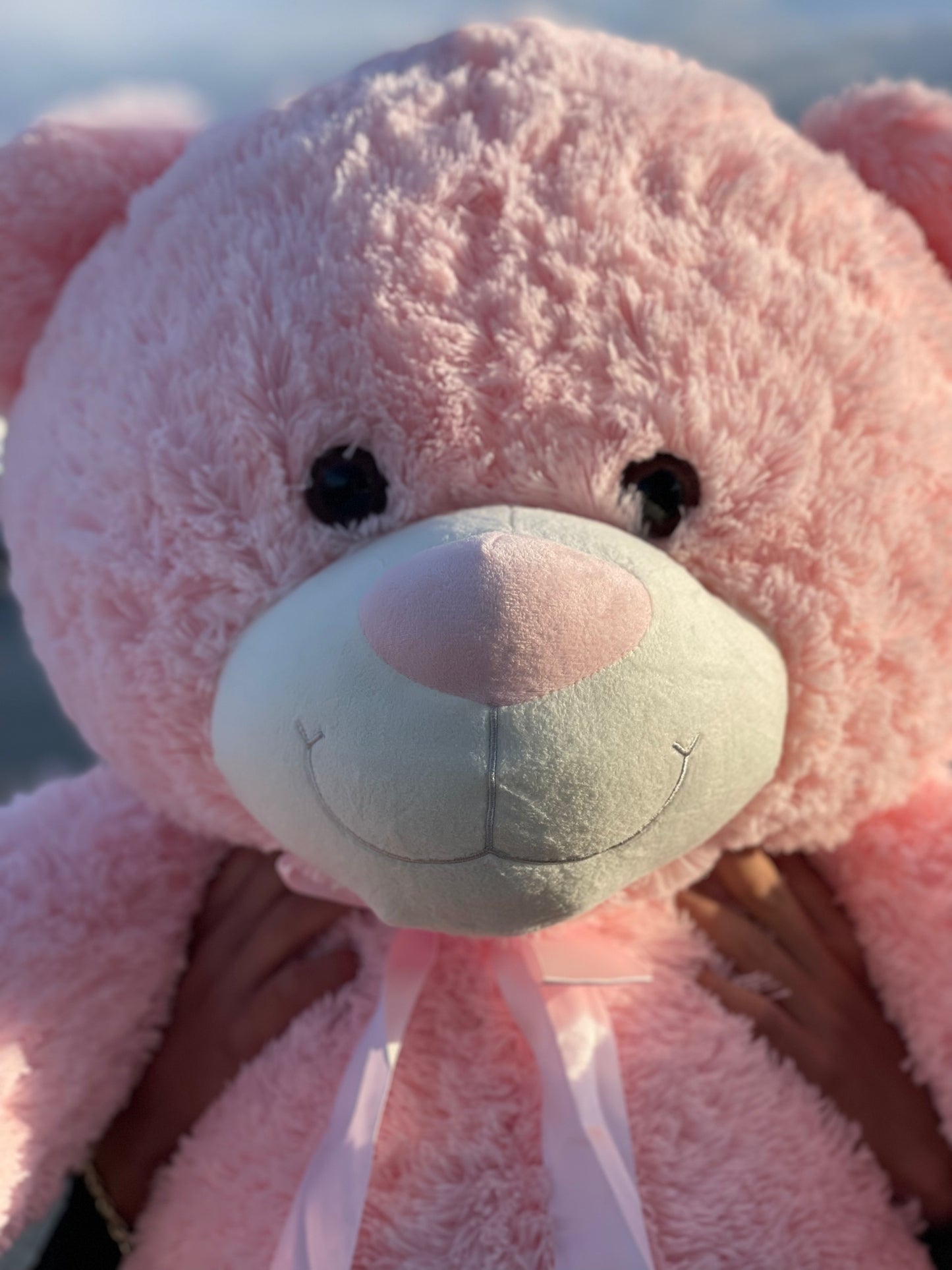 Pink Bear, Oso Gigante Rosita
