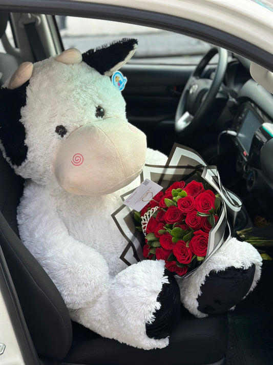 Paquete conquista clasico