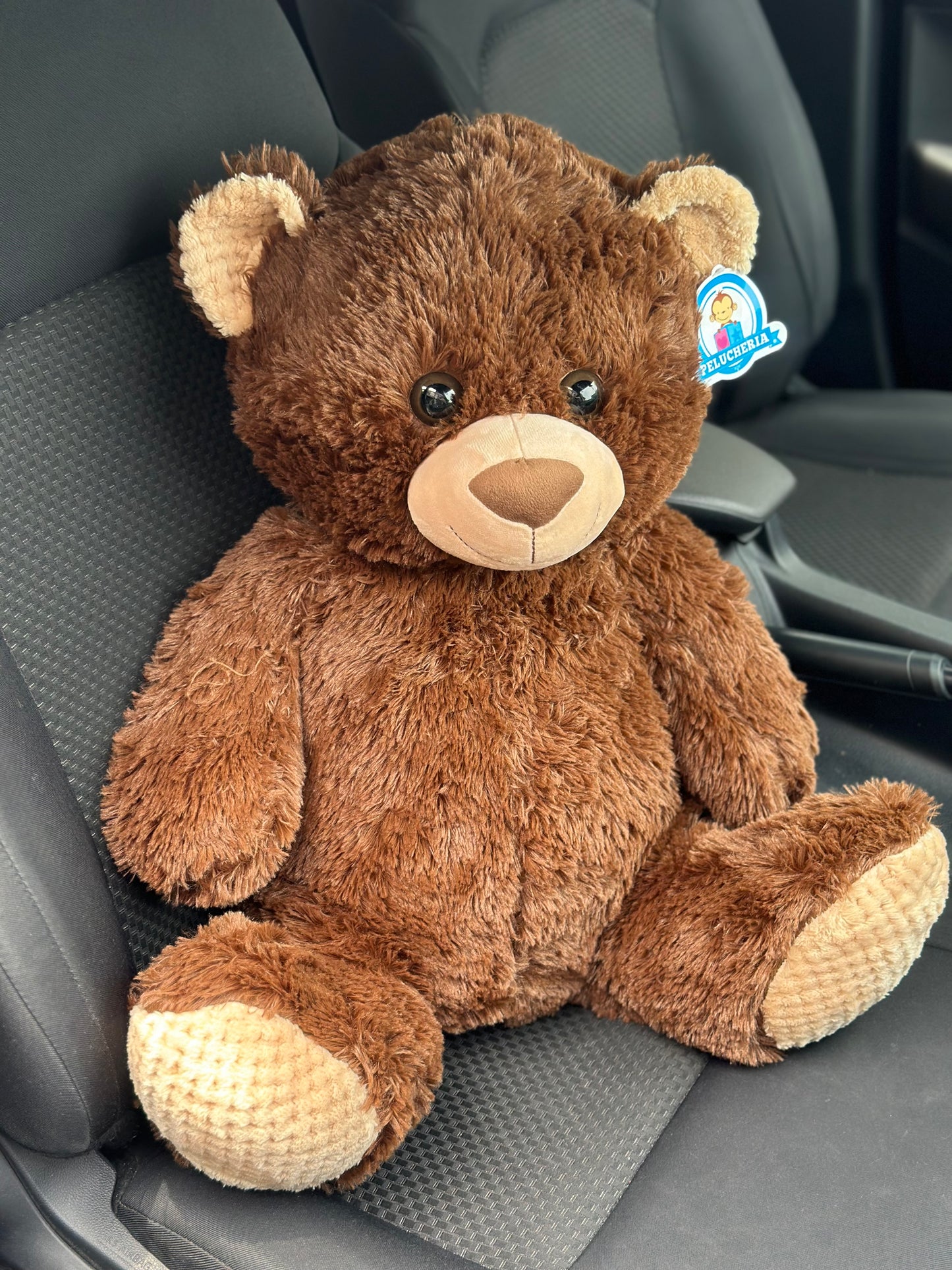 Osito Teddy