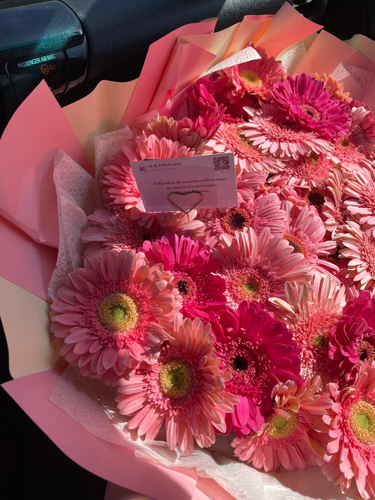 Sofia, Buchon 50 Gerberas