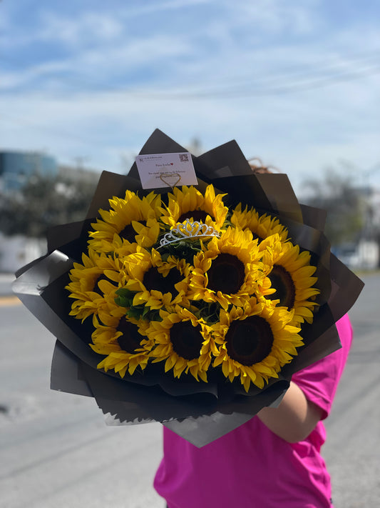 Alegria, Buchon 10 Girasoles