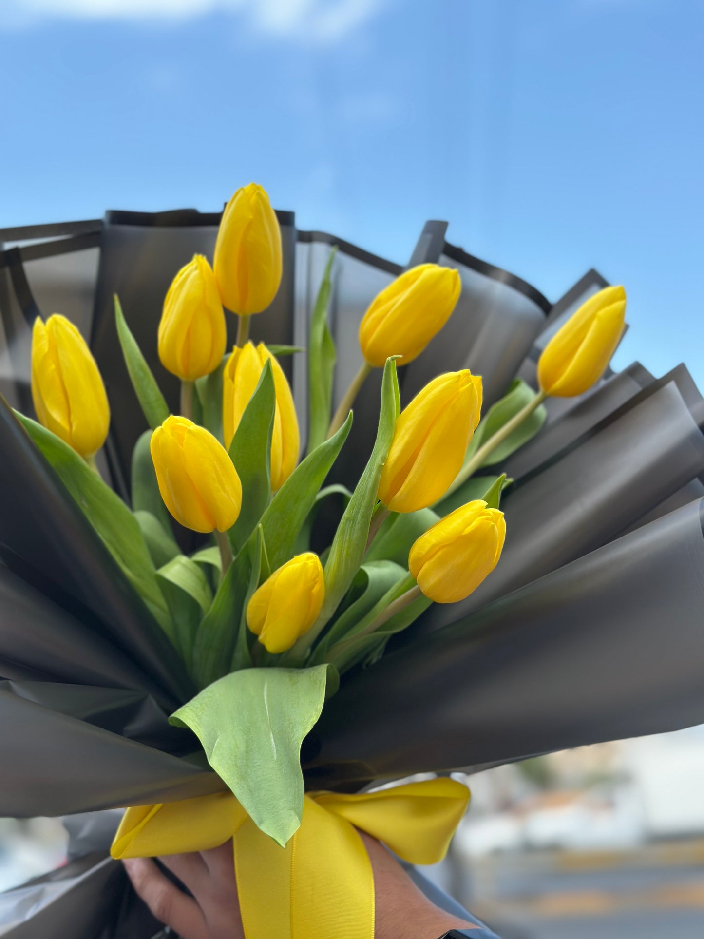 Valentina, Tulipanes Amarillos