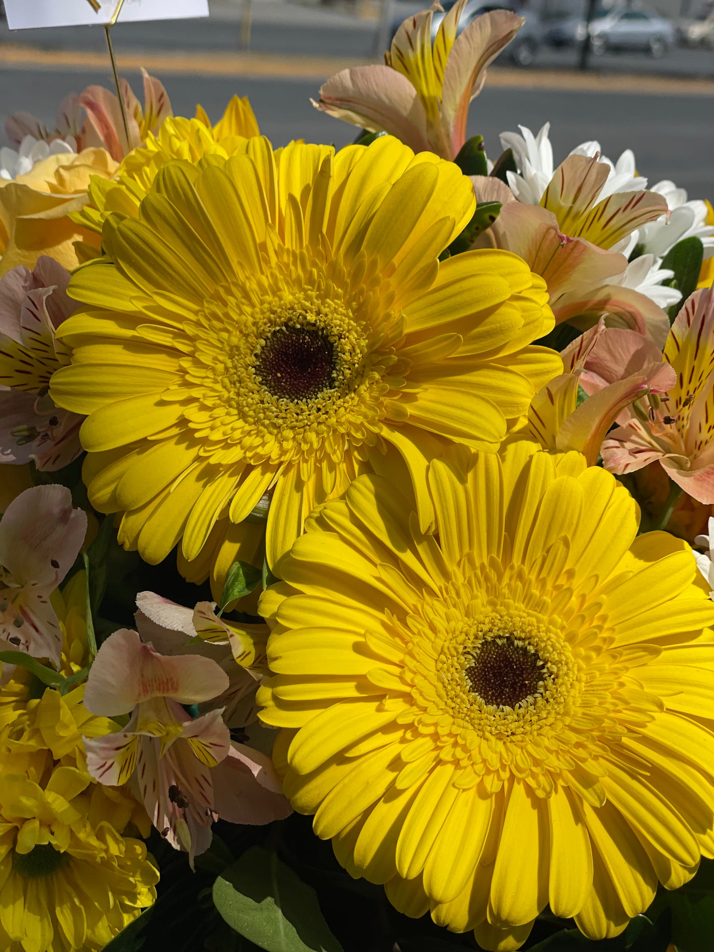 Natalia, Caja con Gerberas