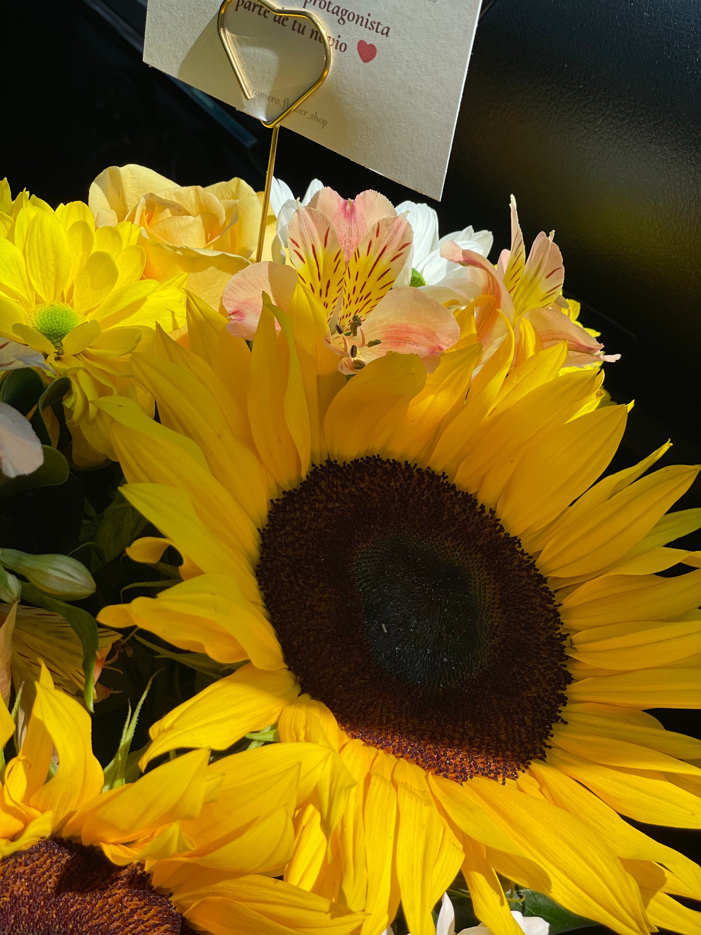 Regina, Caja con Girasoles