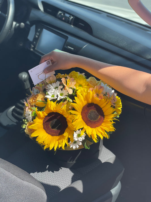 Regina, Caja con Girasoles