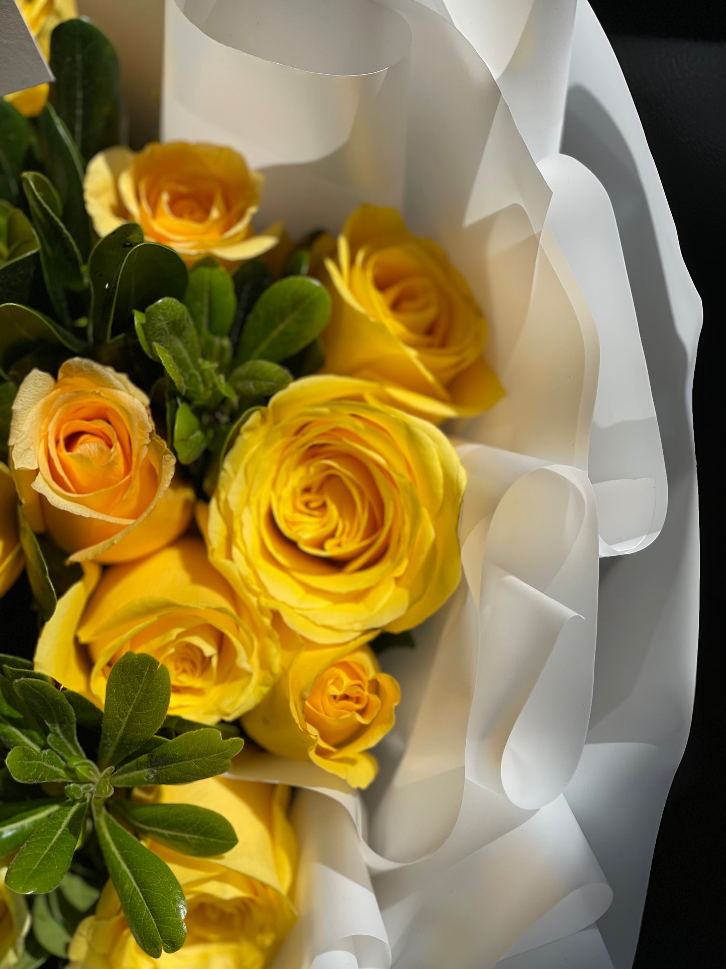 Mariana, Rosales Amarillos