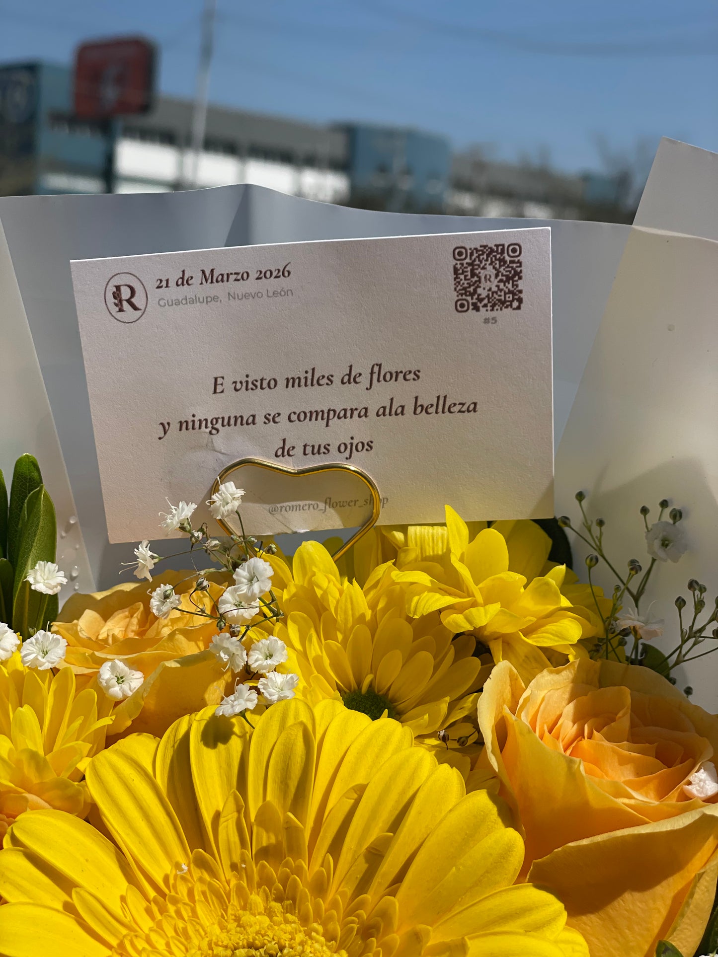 Renata, Hermosas Flores Amarillas