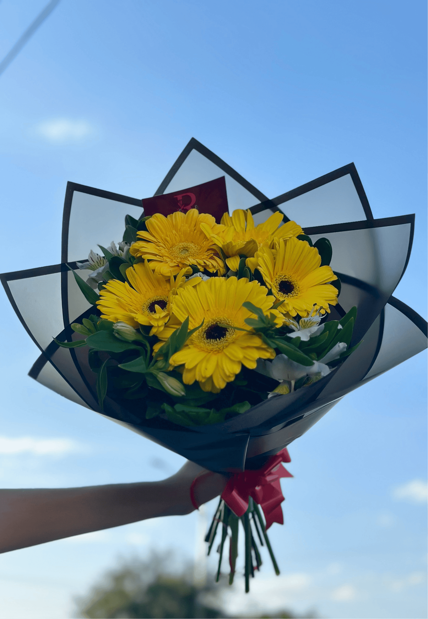 5 Gerberas Amarillas