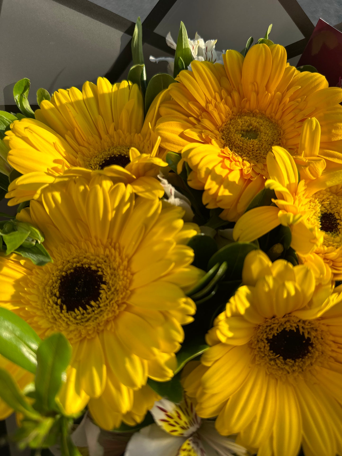 5 Gerberas Día Amarillo