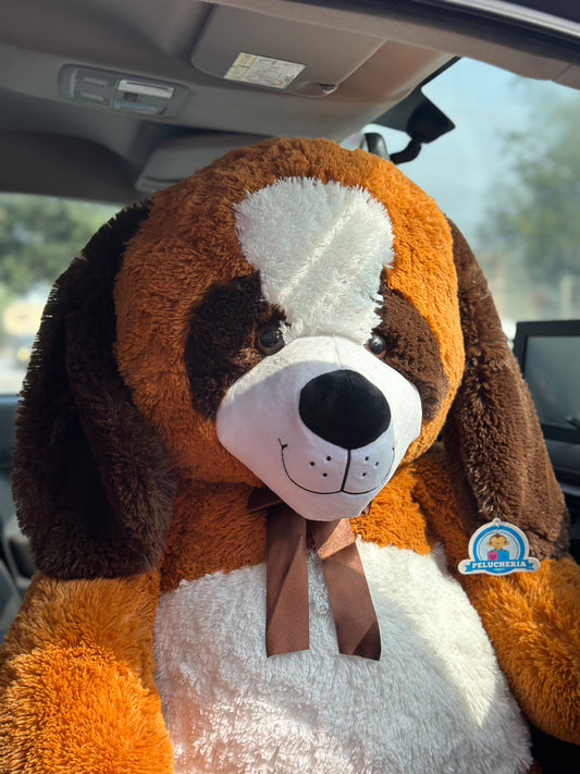 Berny Perrito Gigante