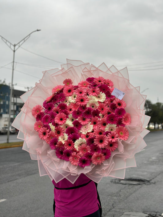 Buchon de 100 Gerberas