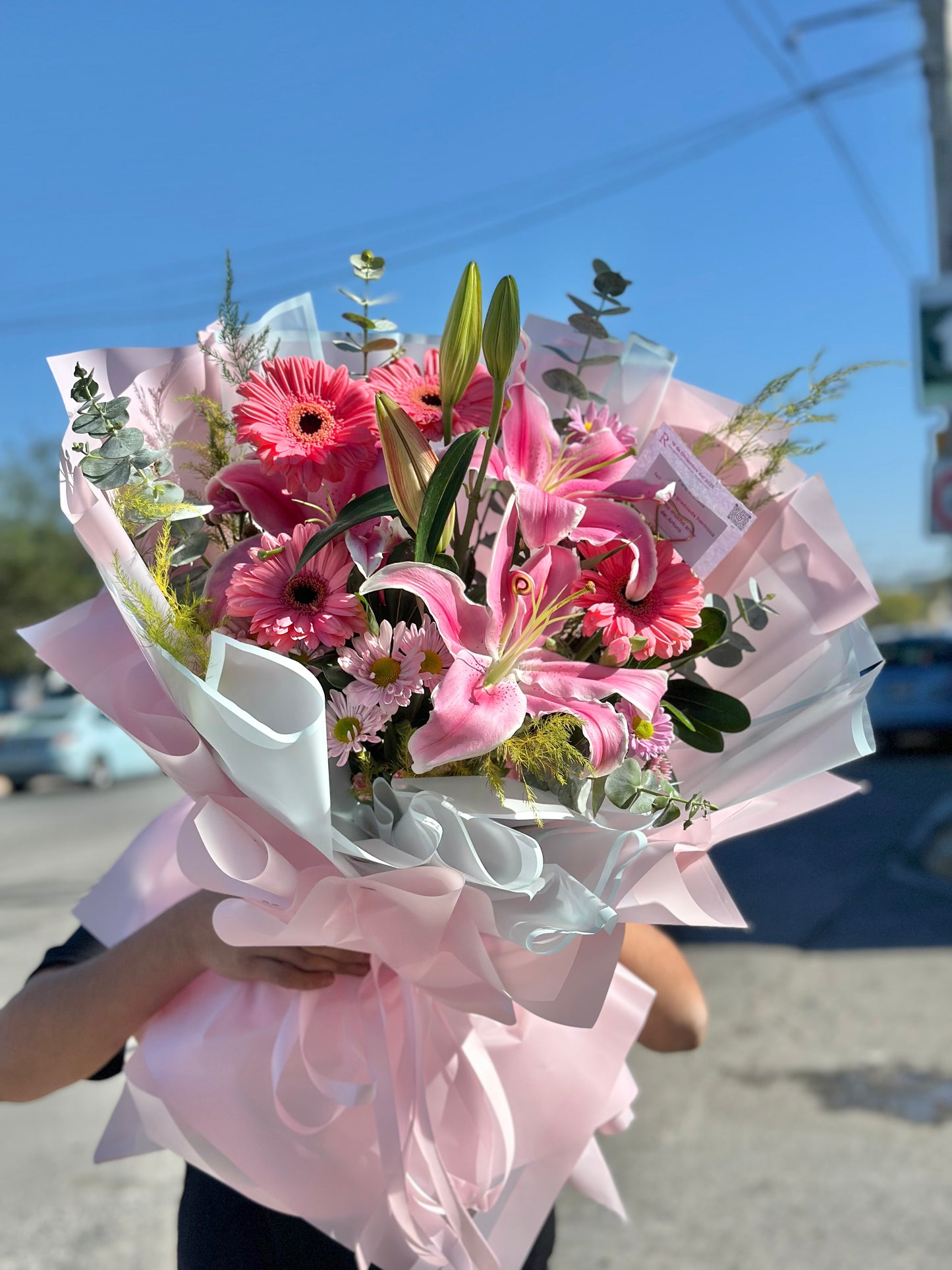 Xime, ramo stargaizer