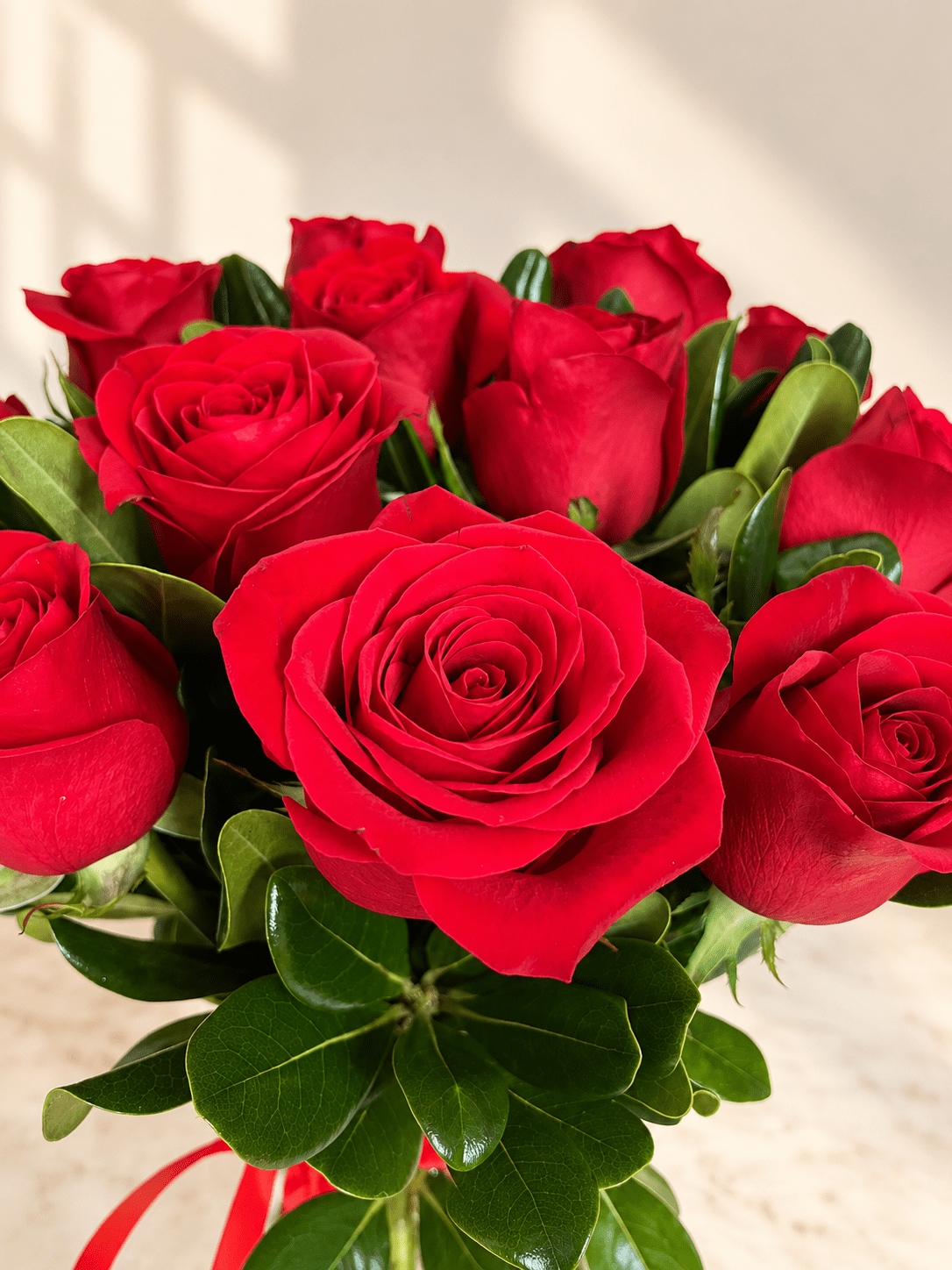 Amor Clásico, Jarrón de Rosas Rojas