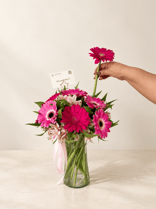 Encanto Rosado, Jarrón de Gerberas