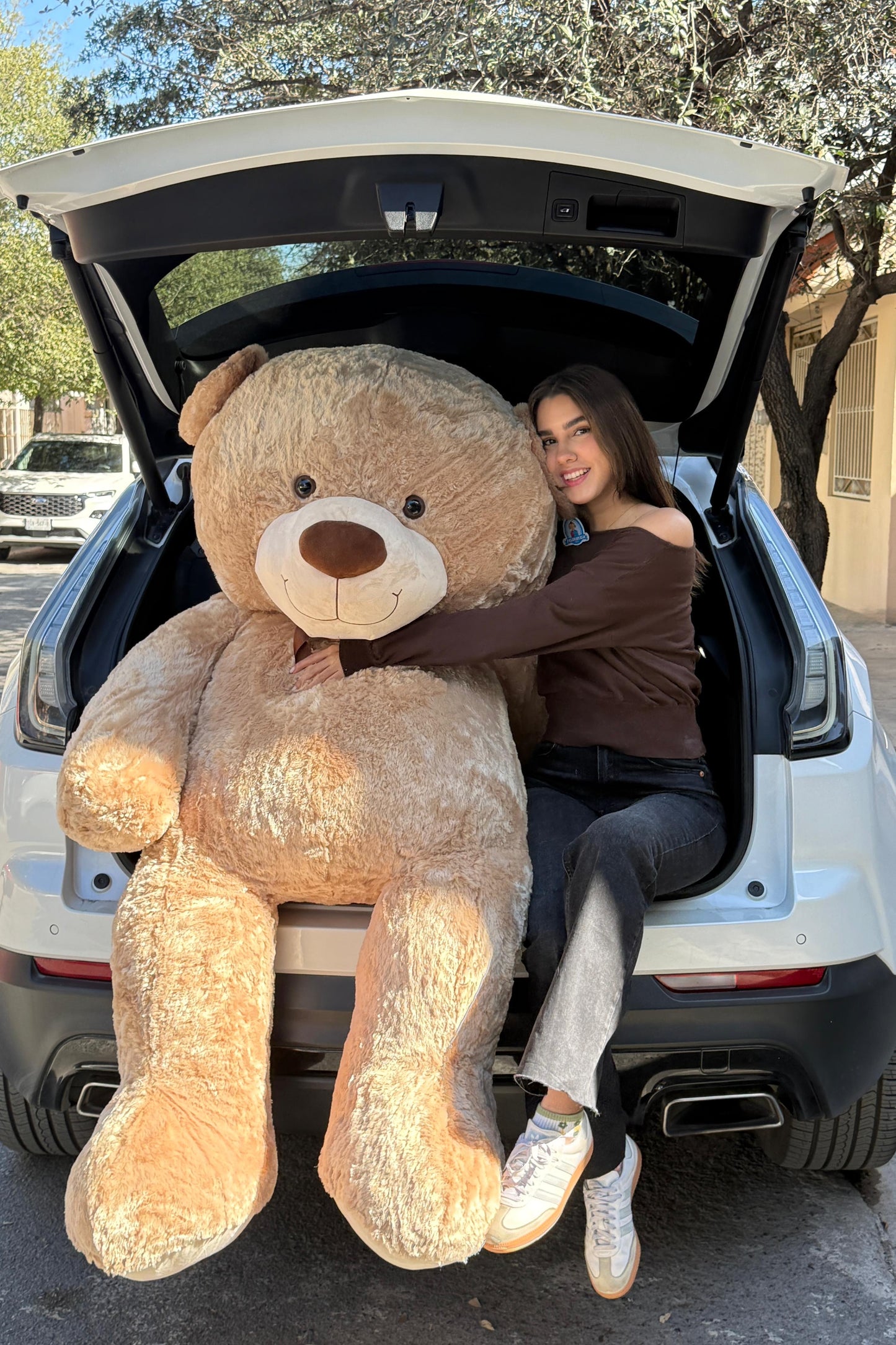 Oso de Peluche Gigante