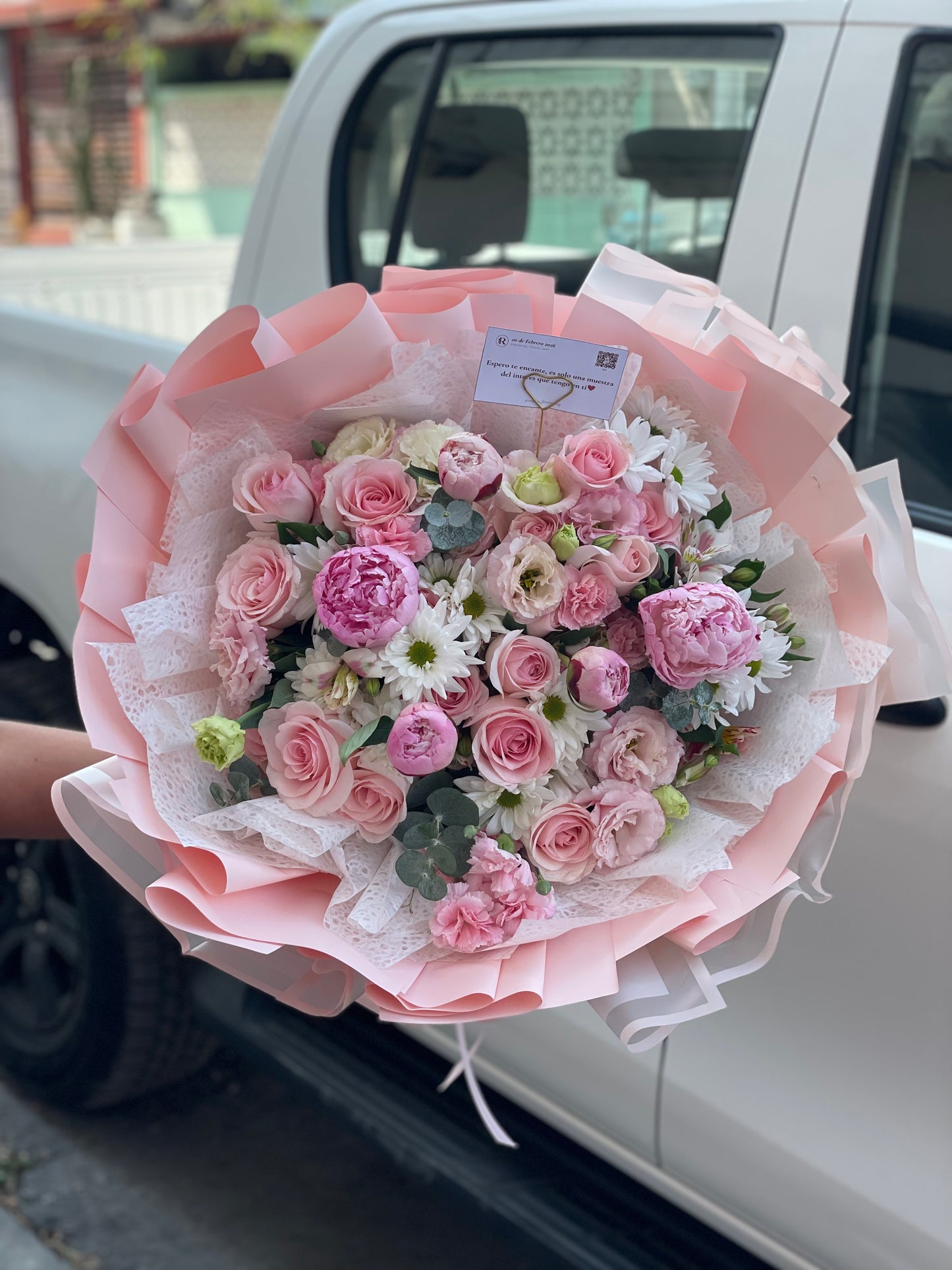Amelia, Peonias importadas