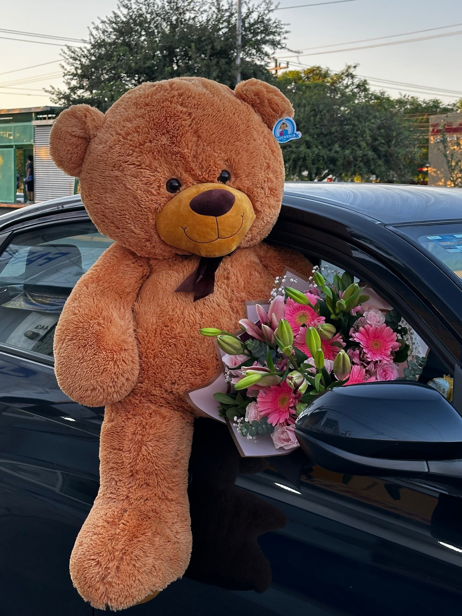 Peluches & Detalles 🧸