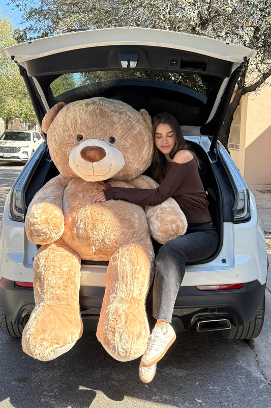 Oso de Peluche Gigante
