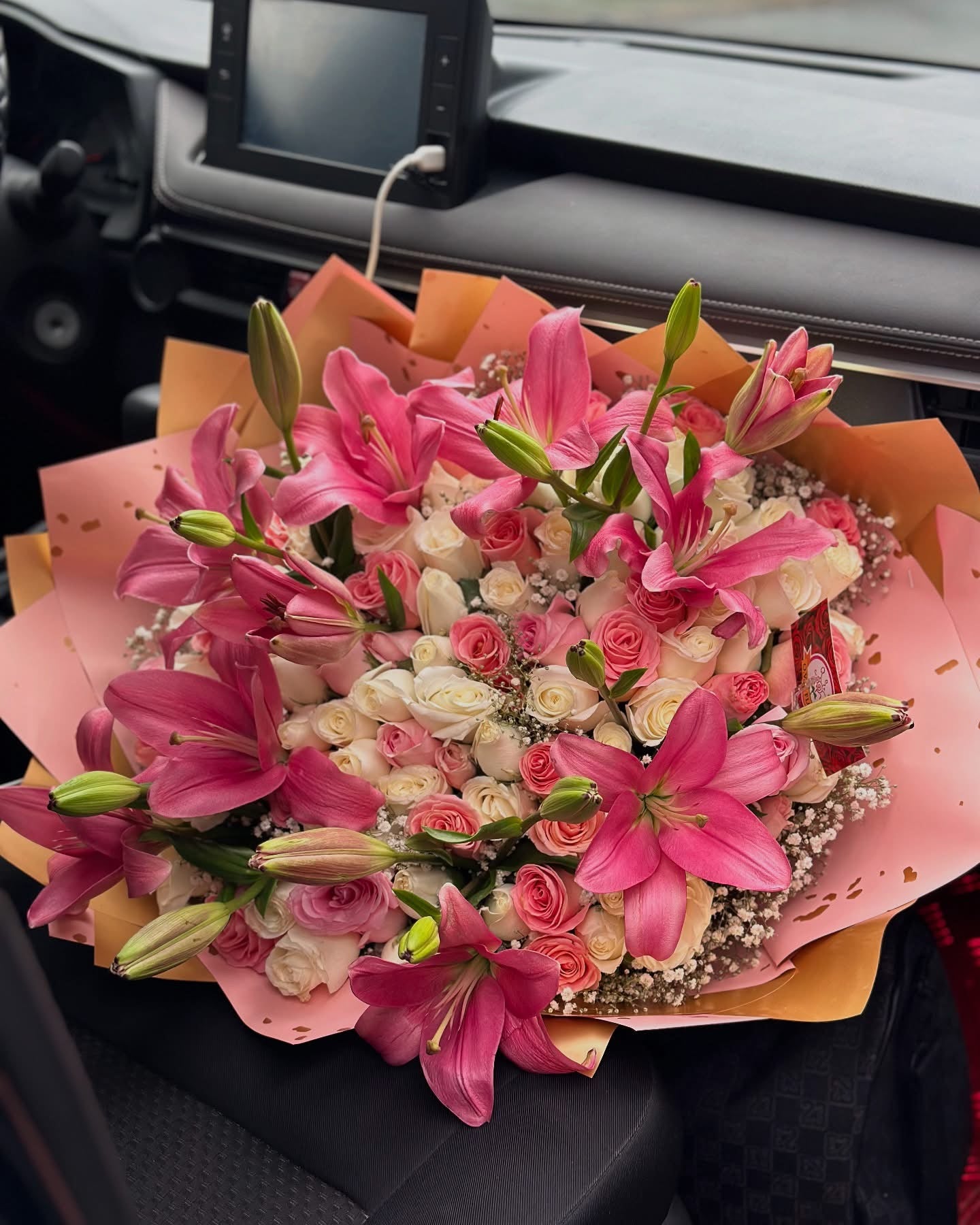 Caricia de Primavera