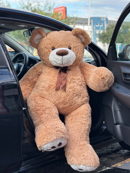 🧸 Teddy Buchón