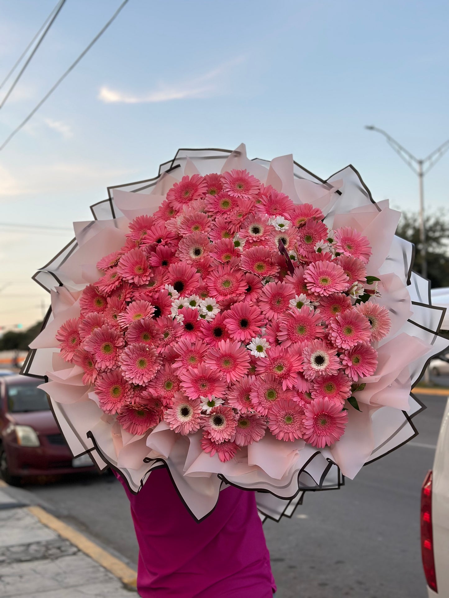 Buchon de 100 Gerberas