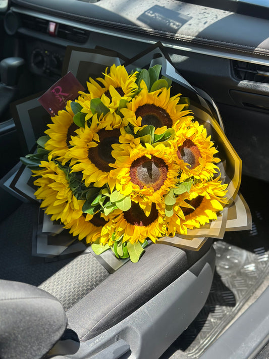 10 Soles para Tu Universo 🌻