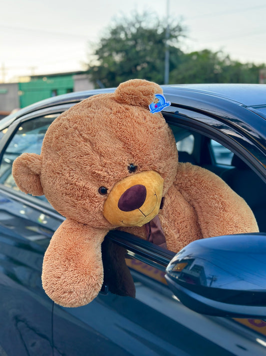 Oso GIGANTE