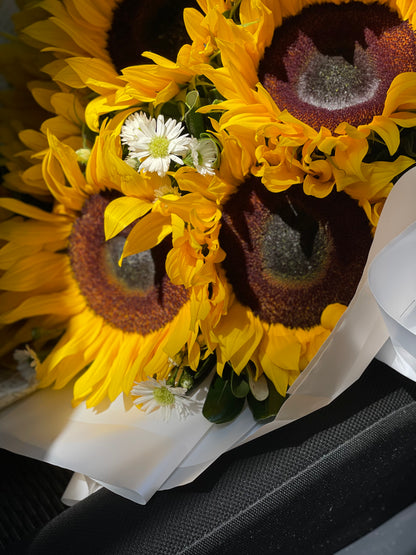 Catalina, hermosos girasoles