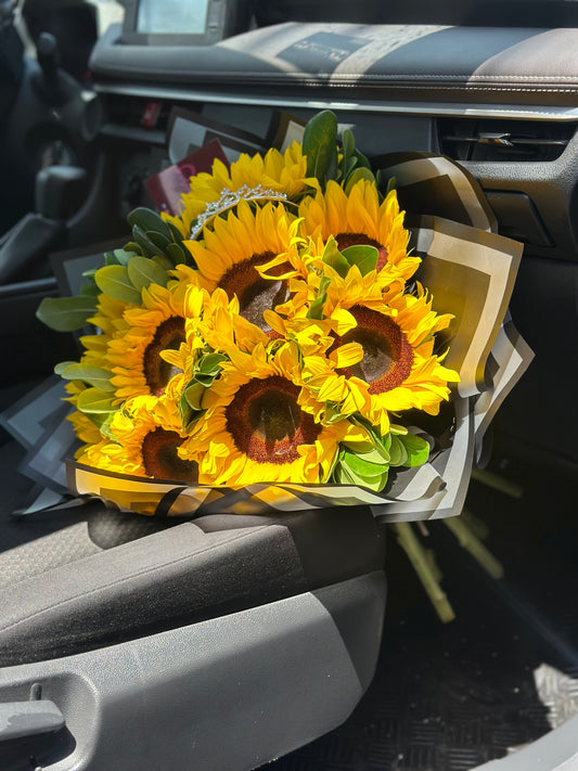10 Soles para Tu Universo 🌻