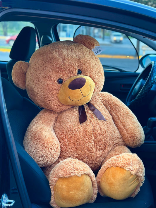 Oso GIGANTE