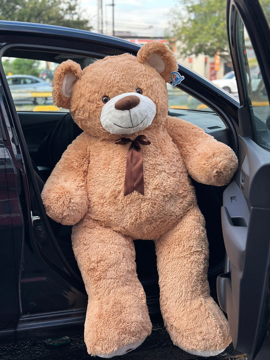 🧸 Teddy Buchón