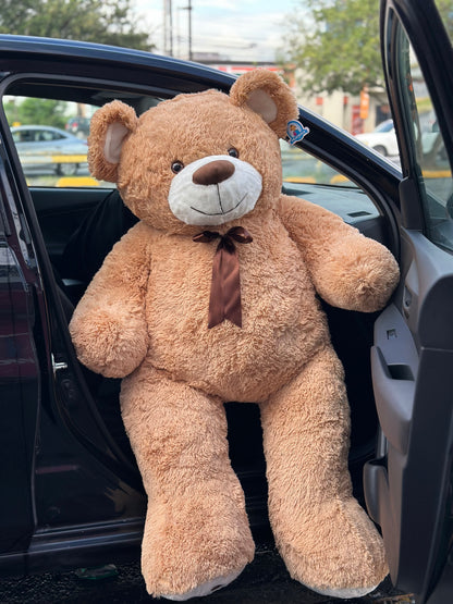🧸 Teddy Buchón