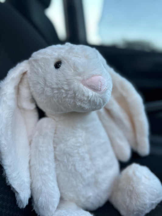 Conejito de Peluche 🐰