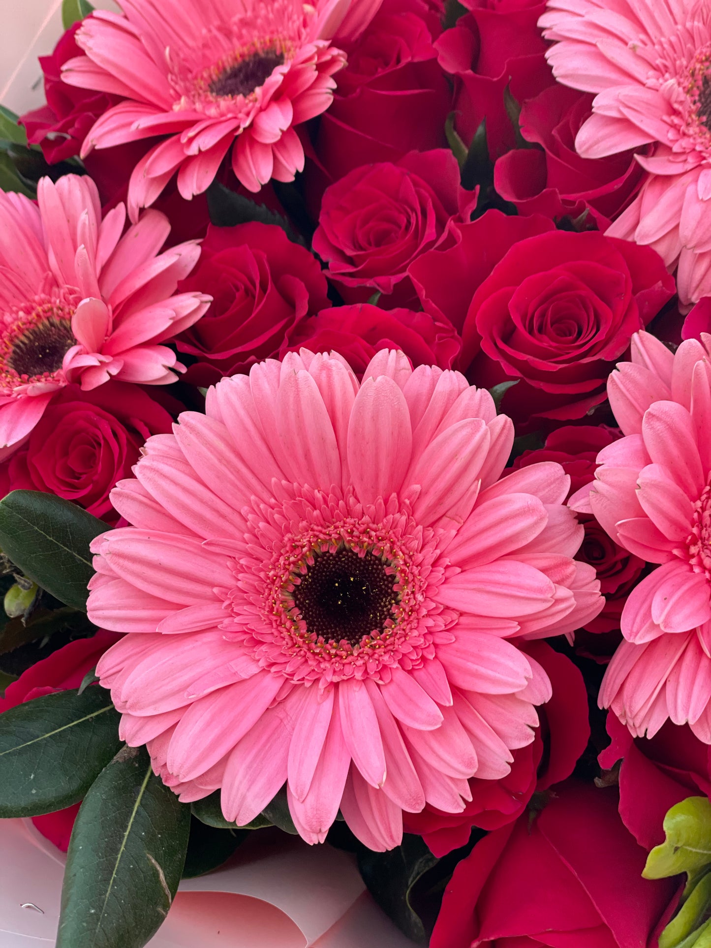 Julieta, bouquet rosas y gerberas
