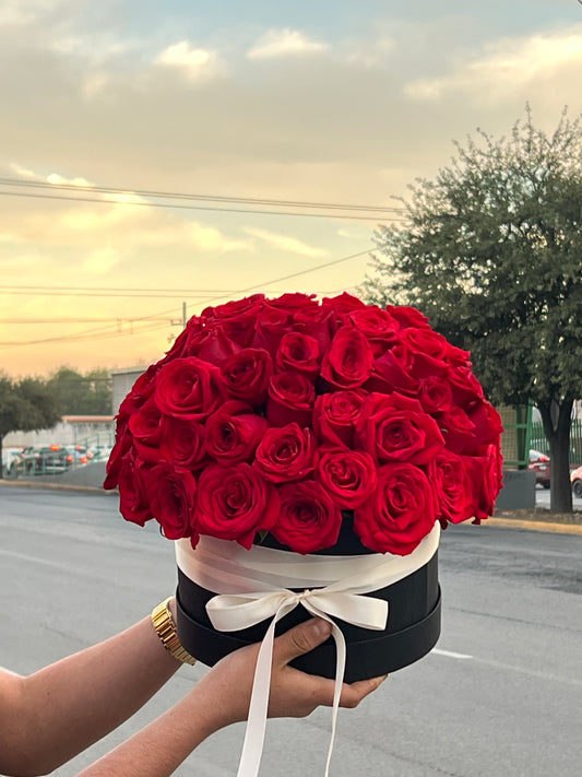 Andrea, Caja con Rosas Rojas