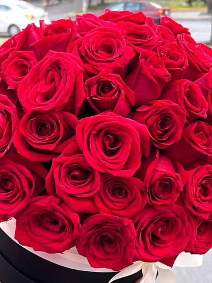 Andrea, Caja con Rosas Rojas