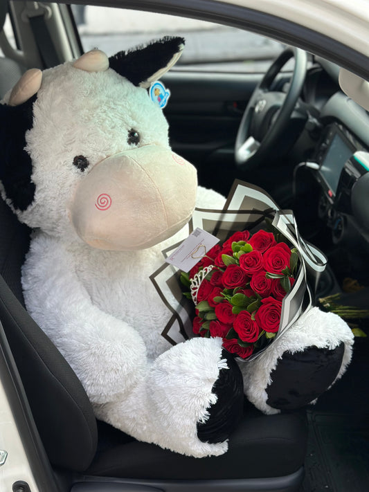 Paquete conquista clasico