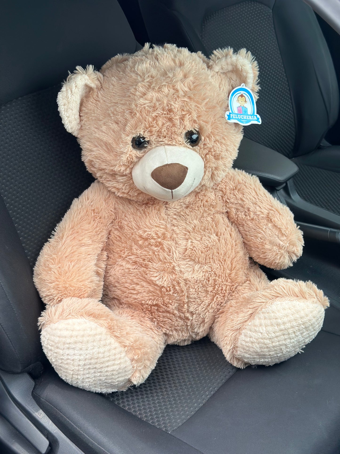 Osito Teddy