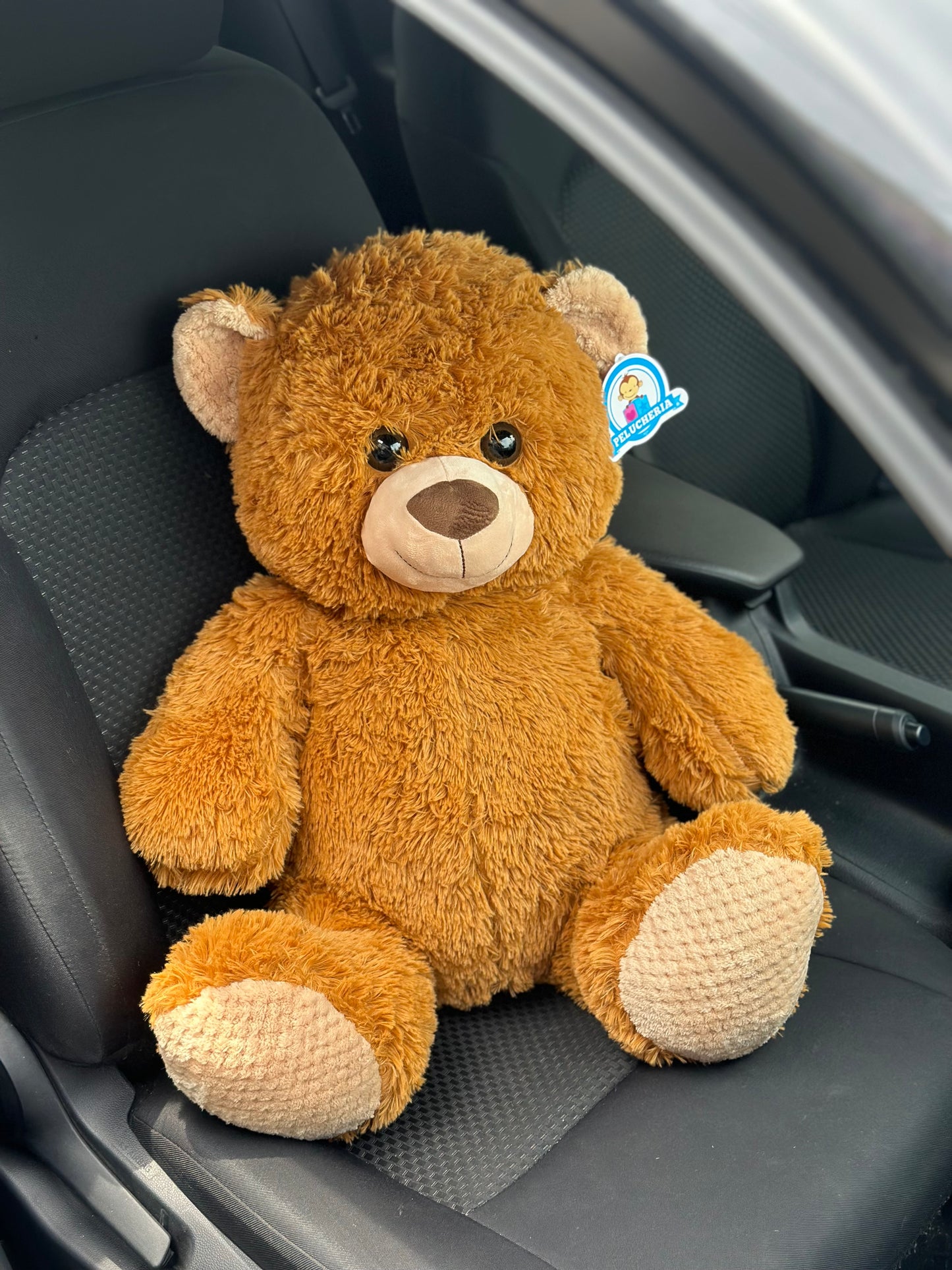 Osito Teddy
