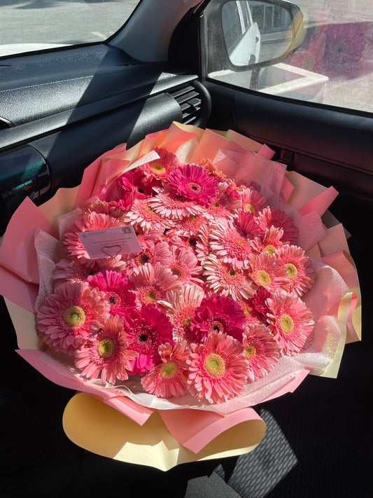 Sofia, Buchon 50 Gerberas