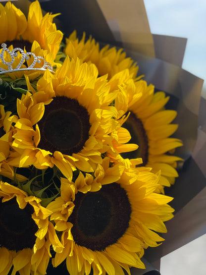 Alegria, Buchon 10 Girasoles