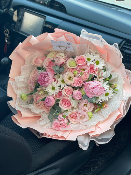 Amelia, Peonias importadas