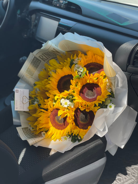 Catalina, hermosos girasoles