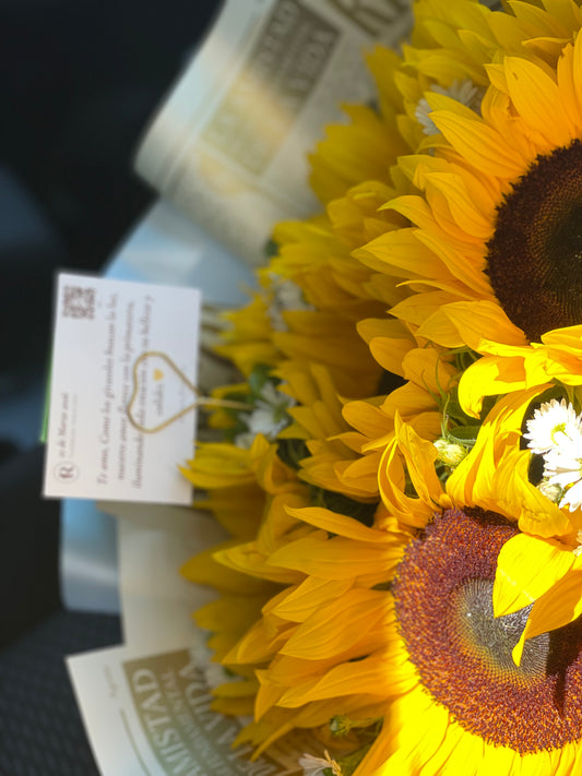 Catalina, hermosos girasoles