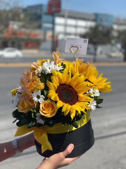 Regina, Caja con Girasoles
