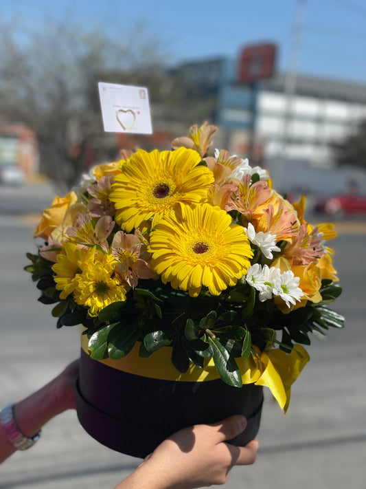 Natalia, Caja con Gerberas