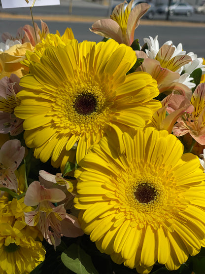 Natalia, Caja con Gerberas