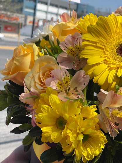 Natalia, Caja con Gerberas